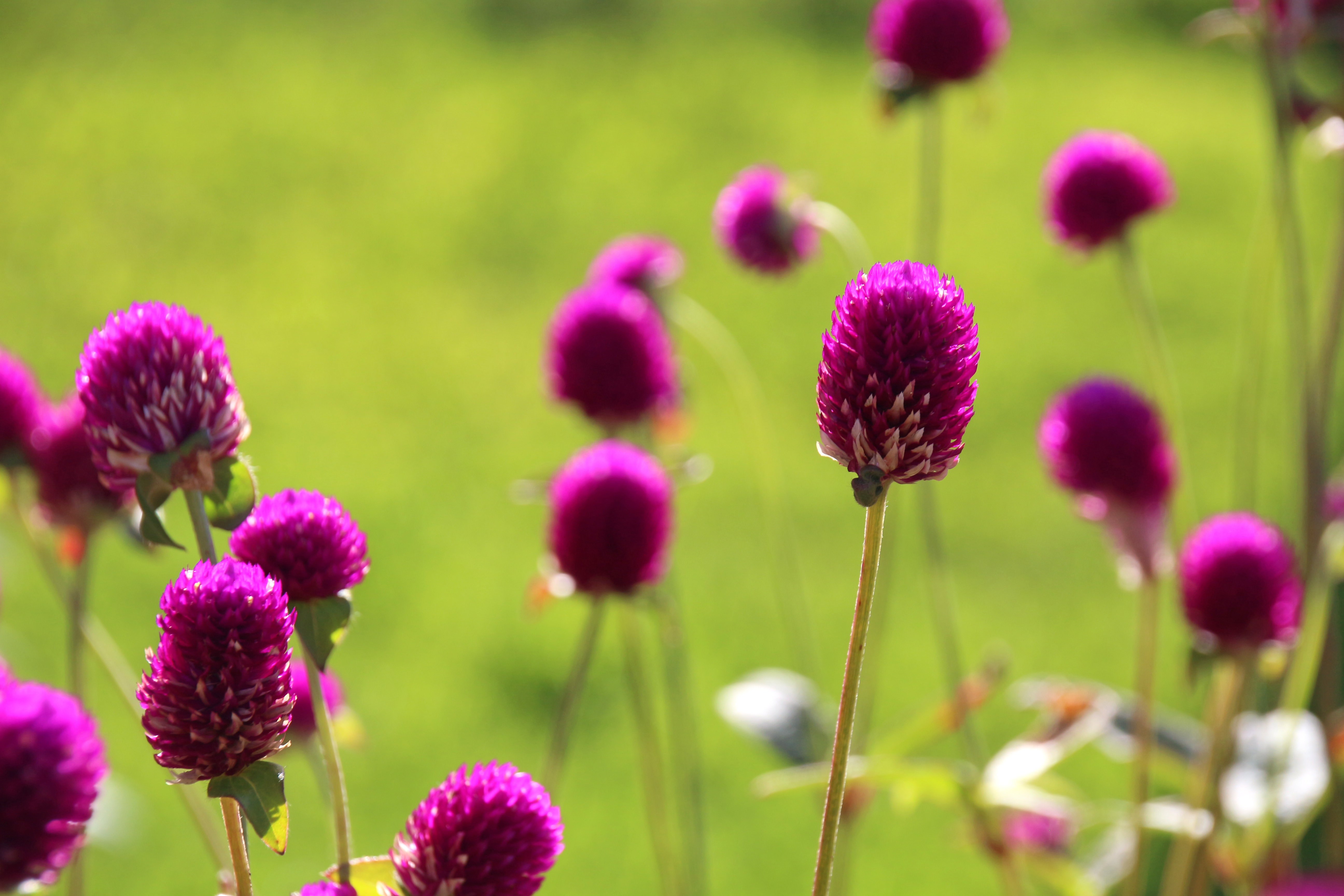 Bild: Peter Weidemann In: Pfarrbriefservice.de